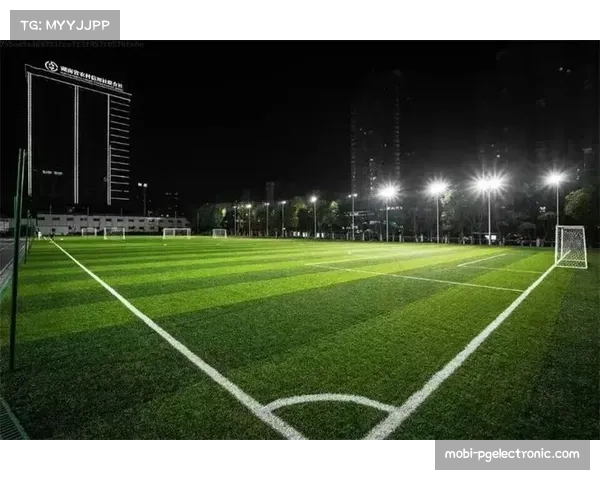 外媒分析胡尔克竞技状态下滑原因认为米内罗球场改用人造草皮影响发挥